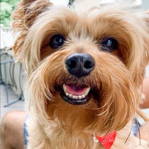 Meet your Posher, Bruce